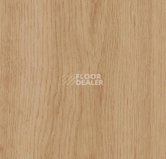 Кварцвиниловые полы Forbo Allura Decibel 8WSM13-3WSM13 golden smooth oak фото 1 | FLOORDEALER